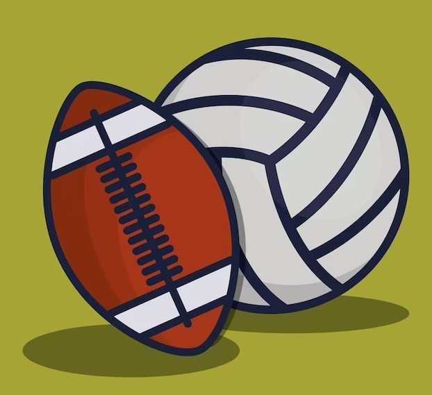 VB FB